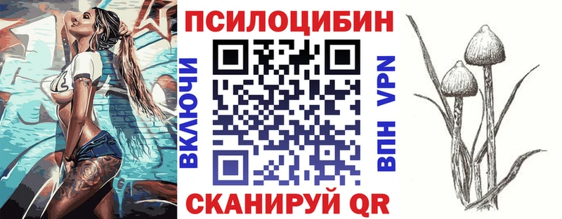 Псилоцибиновые грибы прущие грибы  Волоколамск 